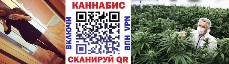 наркошоп  Староминская  Бошки марихуана гибрид 